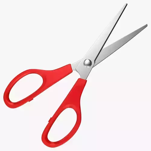 Scissors pair of