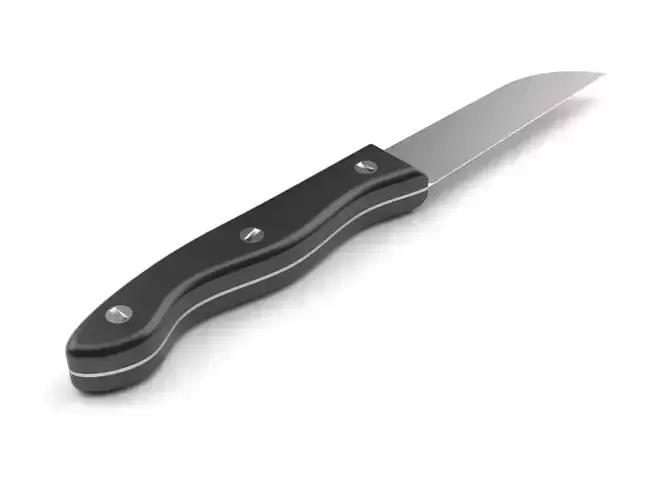 Kitchen knife 11