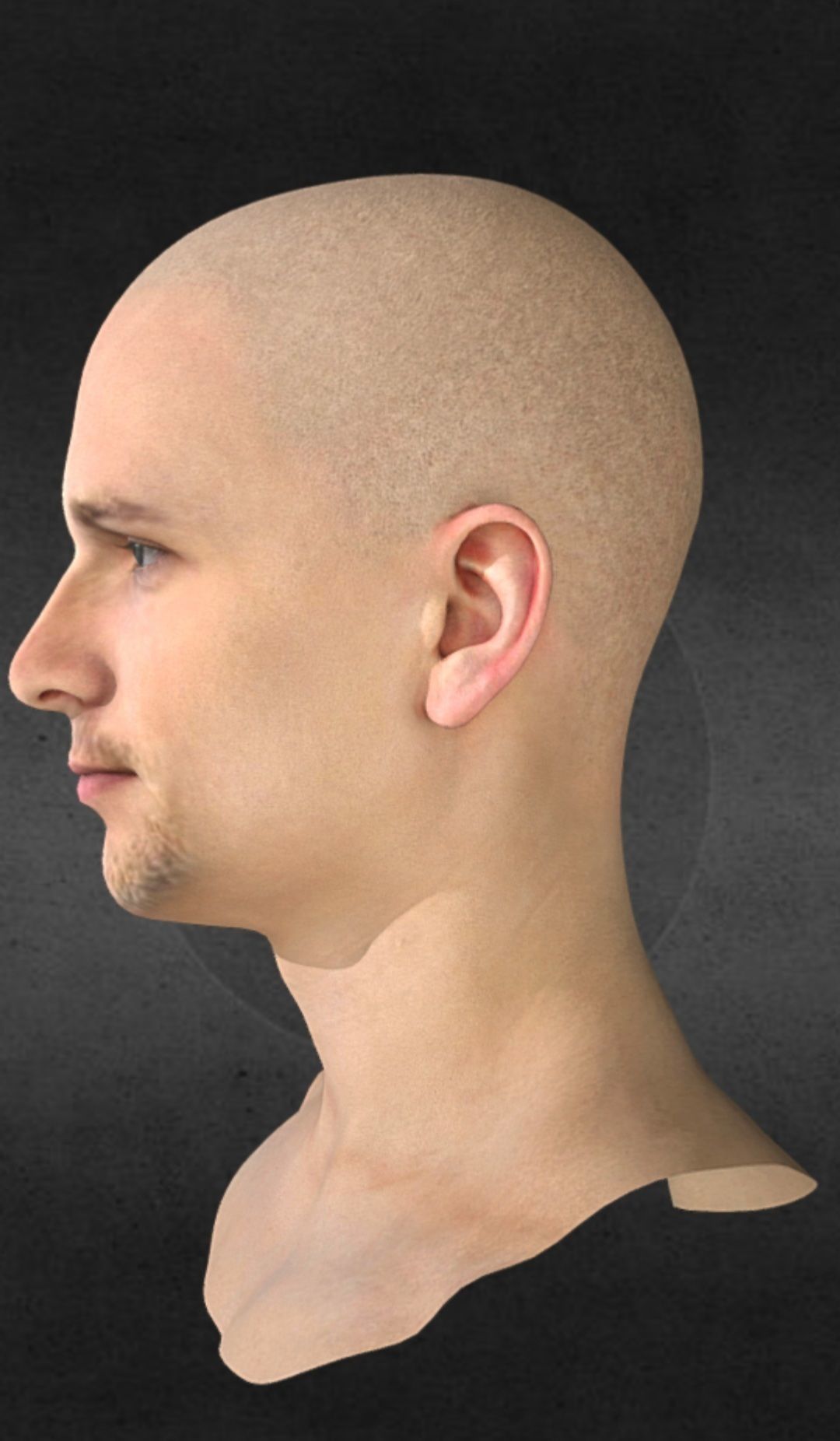 Full Reslistic head and facial Rig Low-poly 3D model_2