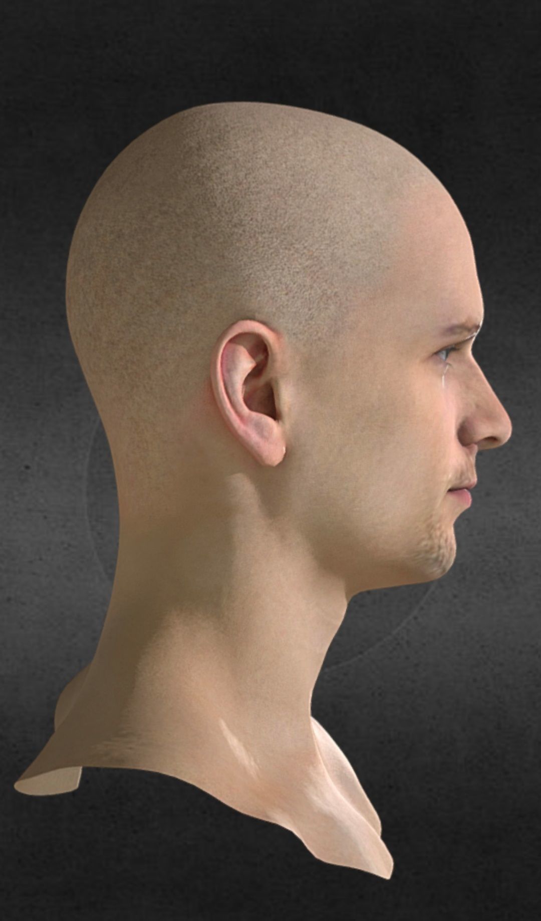 Full Reslistic head and facial Rig Low-poly 3D model_1