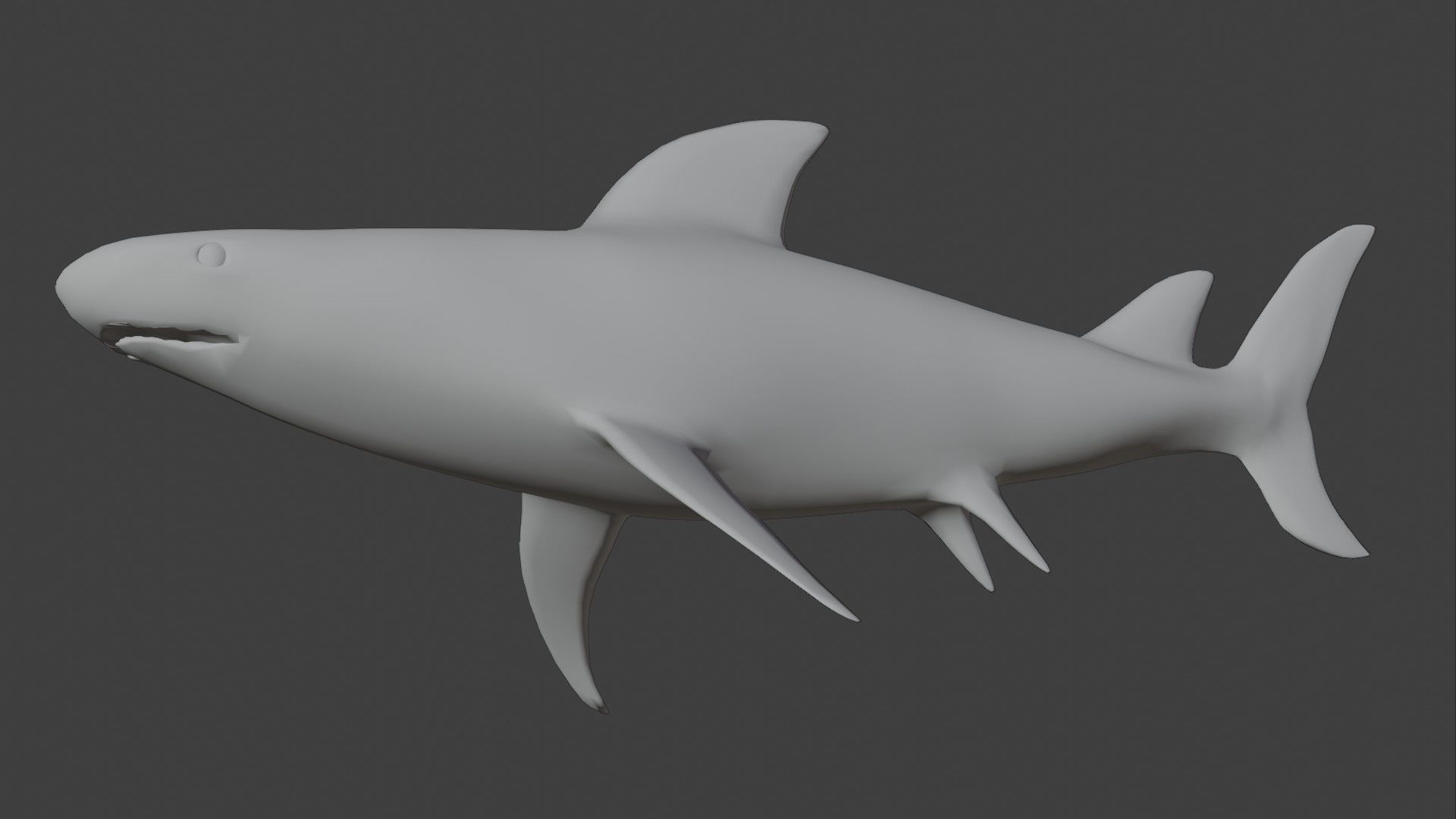 Bull Shark Low-poly 3D model_6