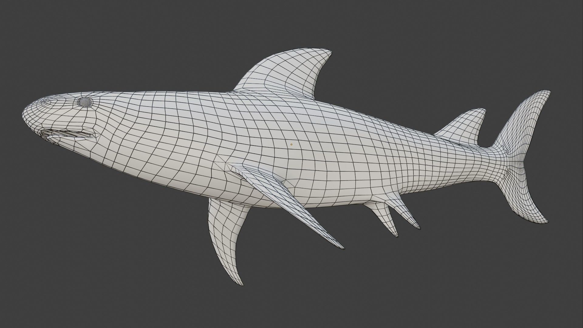 Bull Shark Low-poly 3D model_8