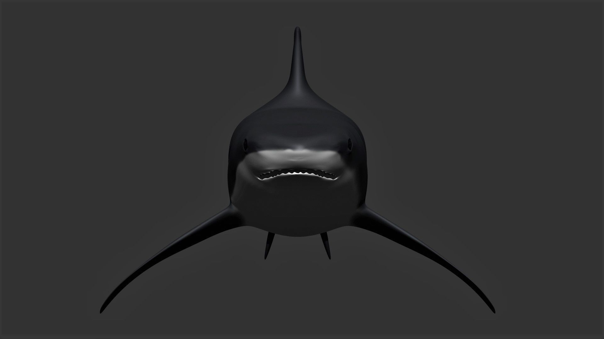 Bull Shark Low-poly 3D model_3