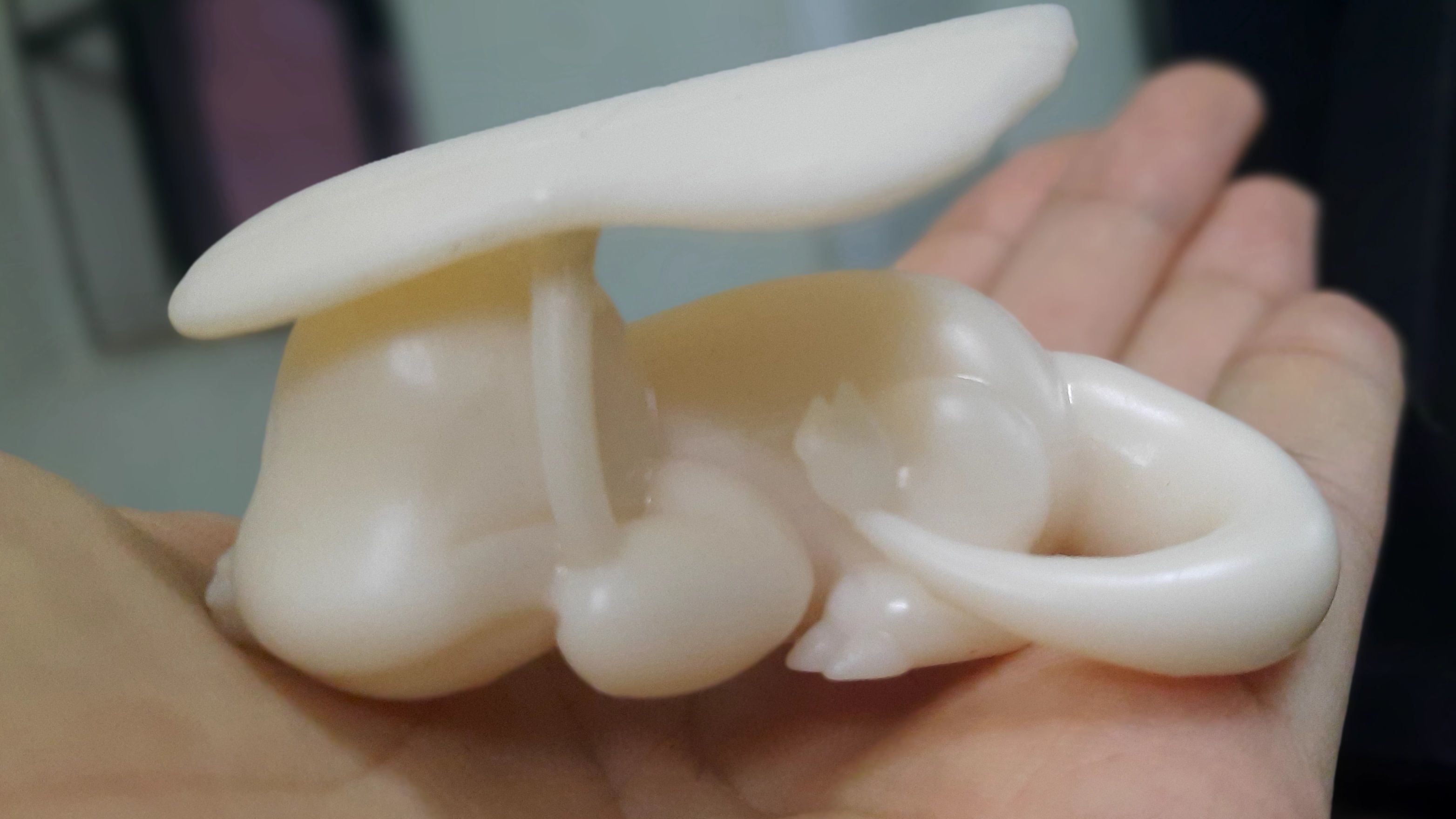 Abandoned Charmander - Pokemon 3D Print Model 3D print model_6