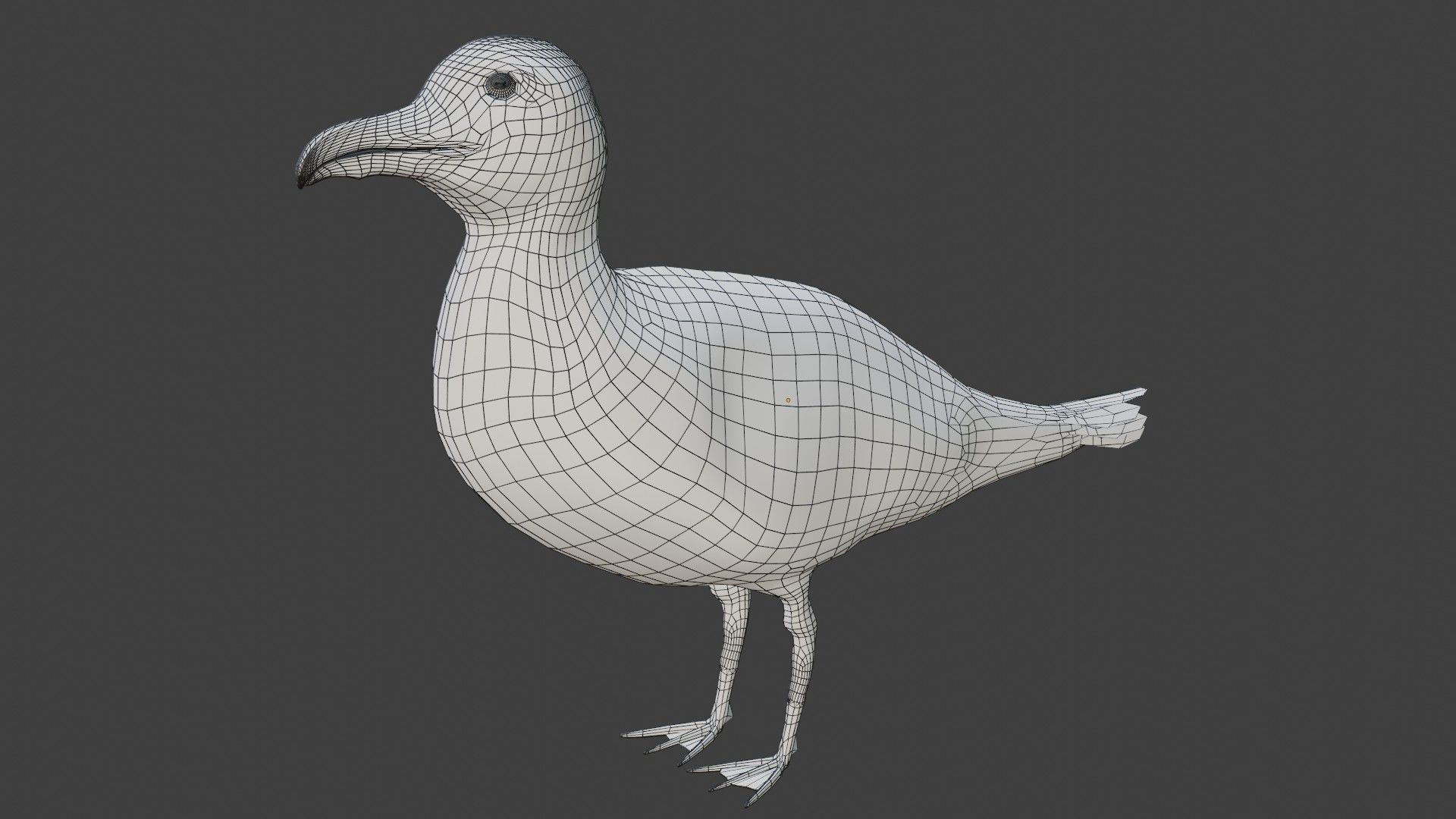 Seagull Low-poly 3D model_7