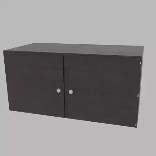 Cabinet with two doors