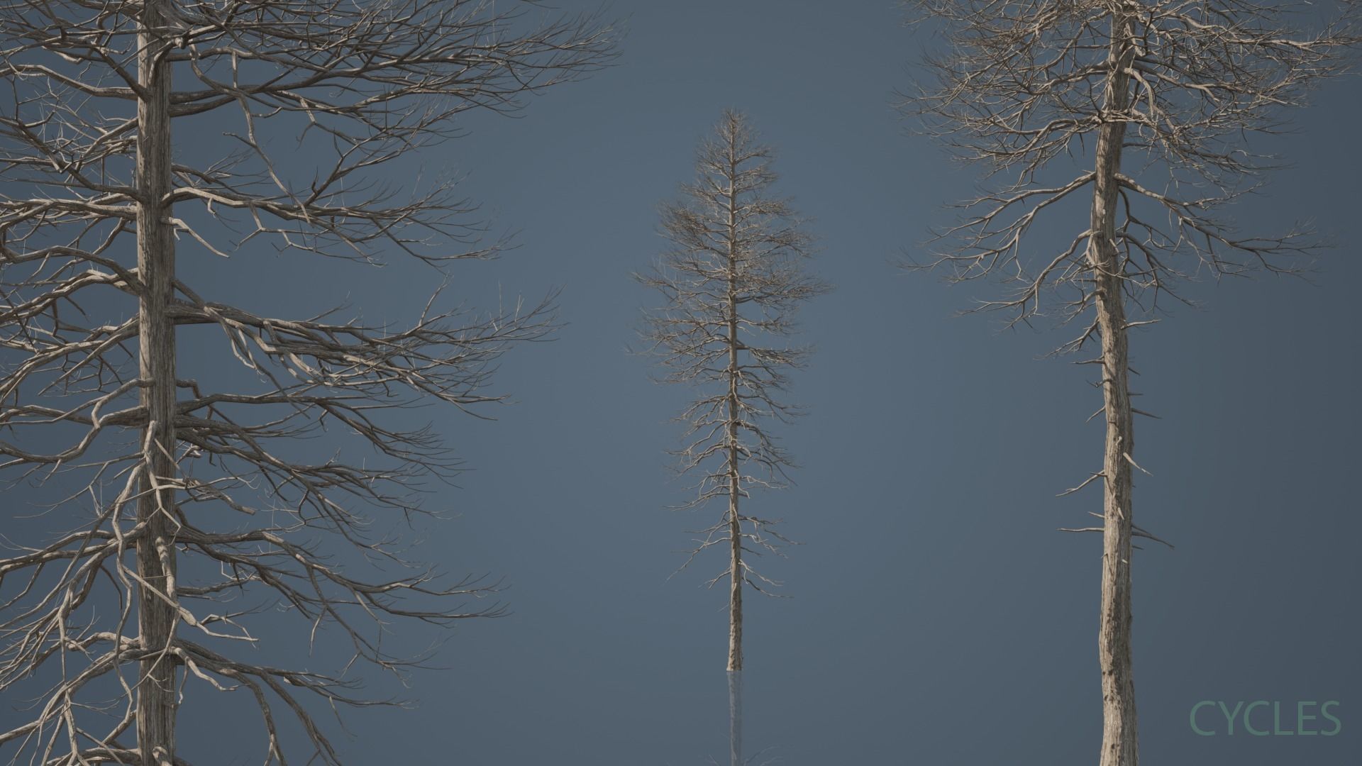 Tall Dead Trees Pack 3D model_4