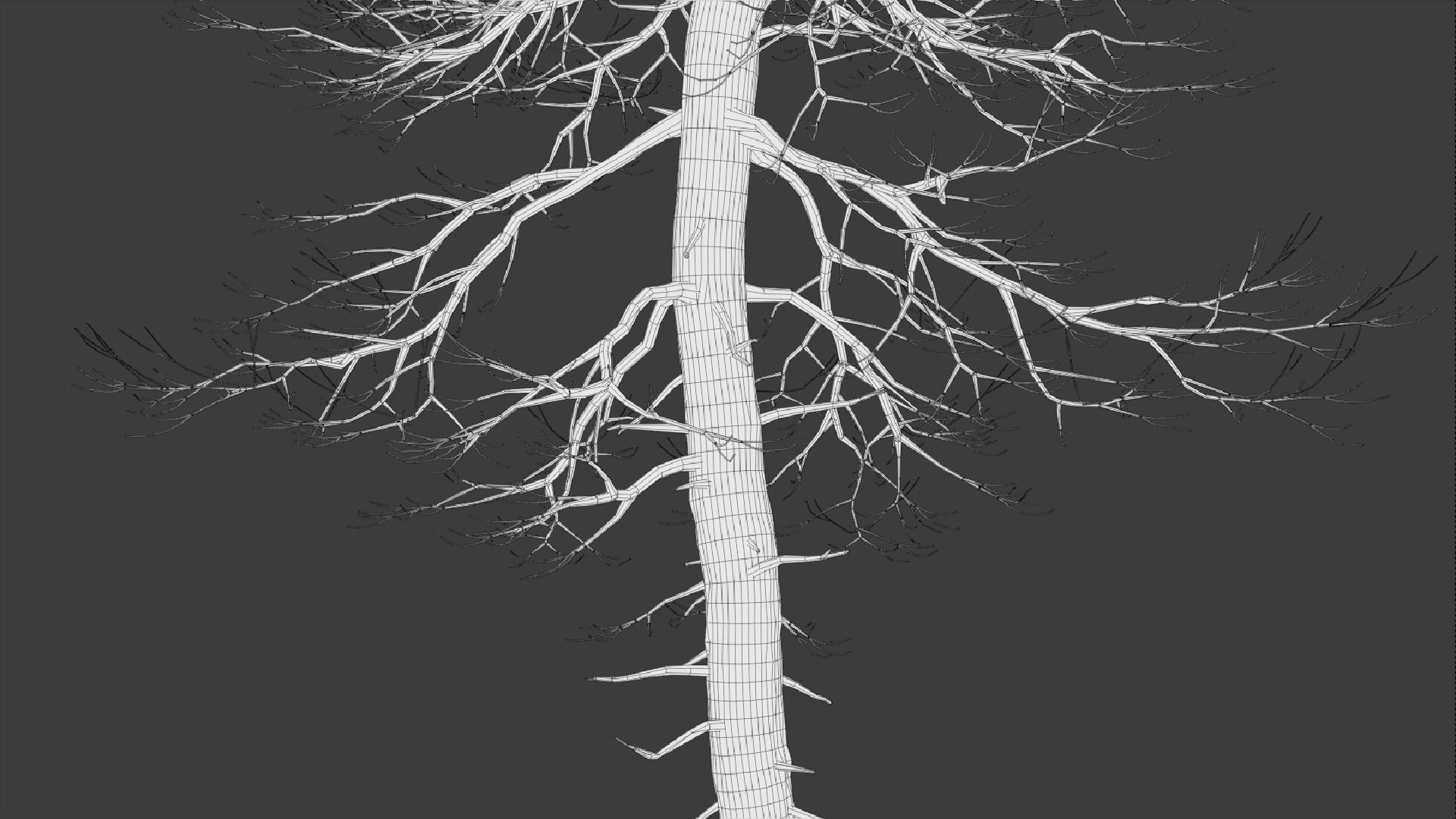 Tall Dead Trees Pack 3D model_3