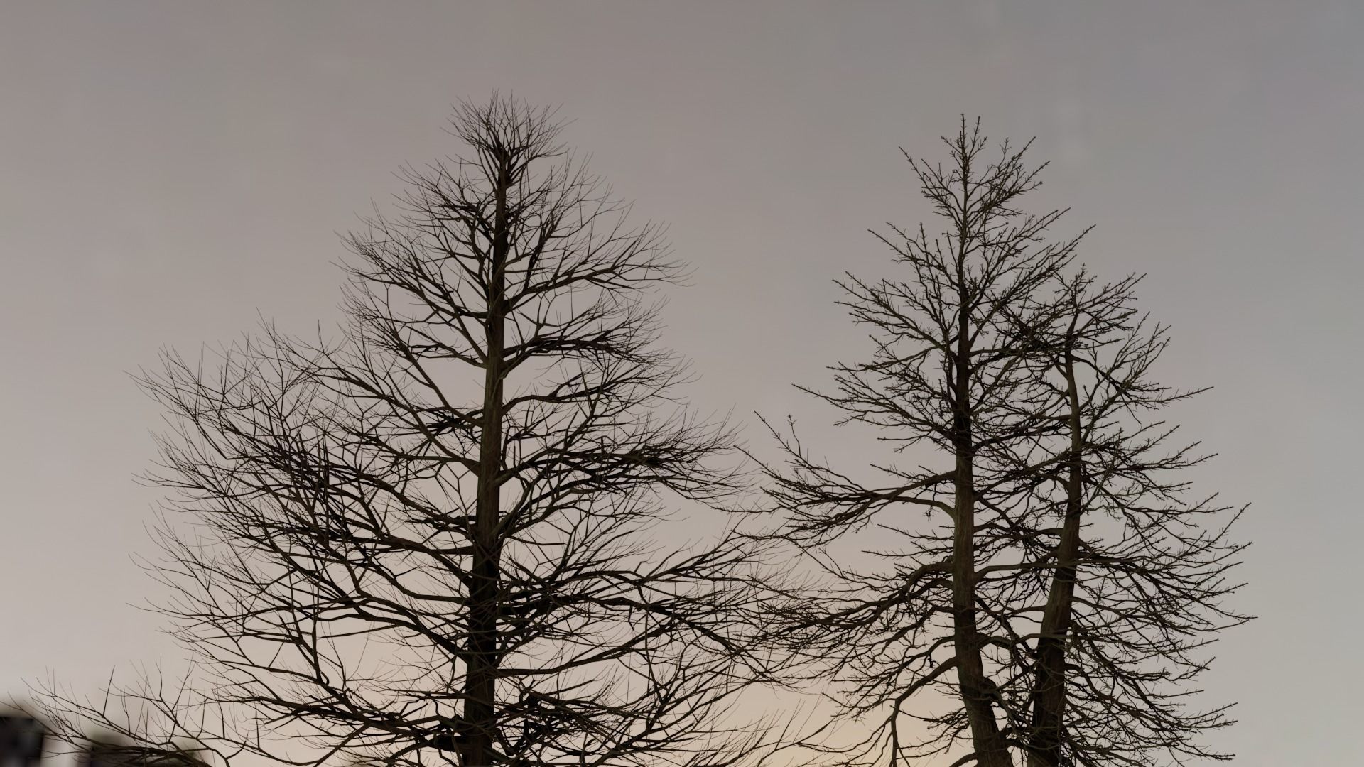 Tall Dead Trees Pack 3D model_6