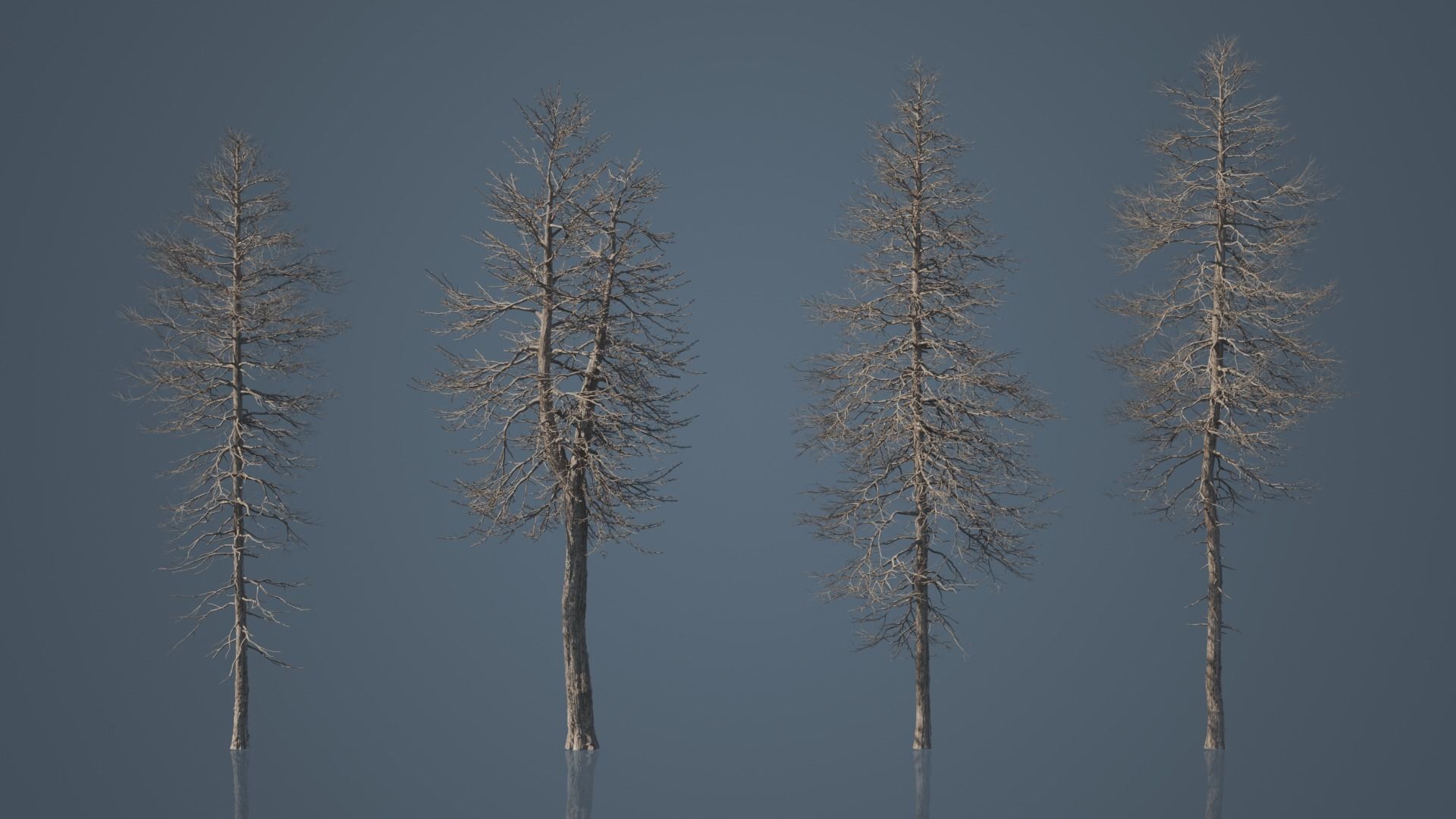 Tall Dead Trees Pack 3D model_7