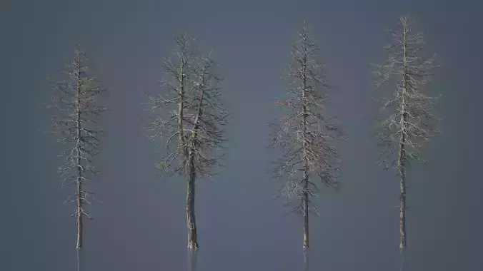 Tall Dead Trees Pack 3D model