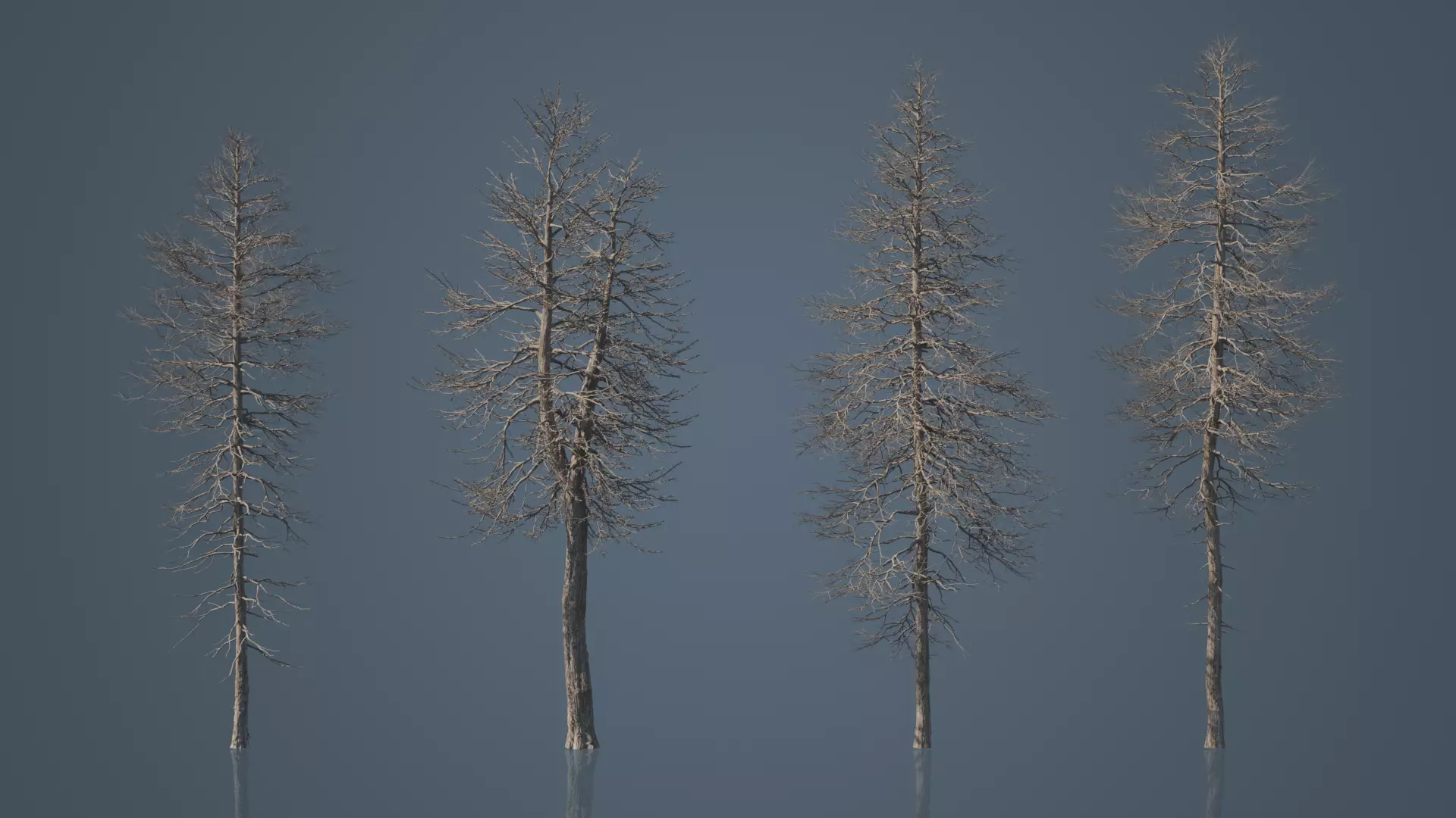 Tall Dead Trees Pack 3D model_0