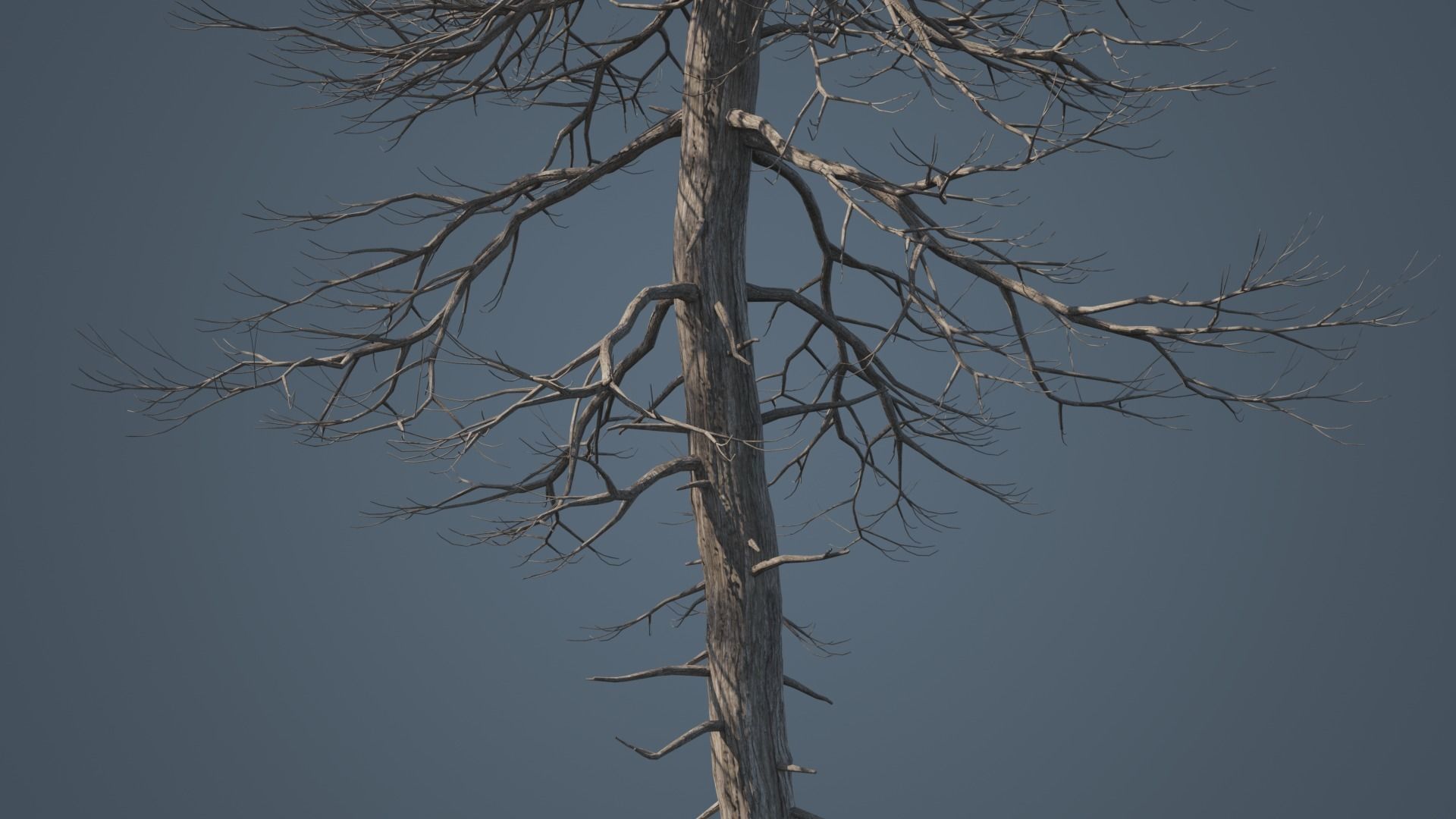 Tall Dead Trees Pack 3D model_2