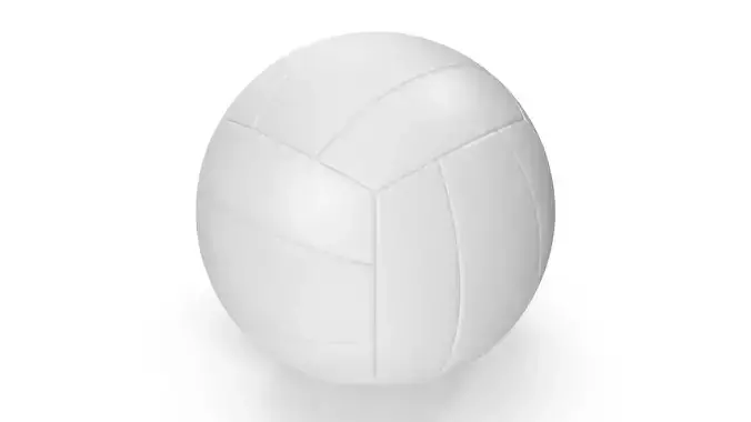 Volleyball