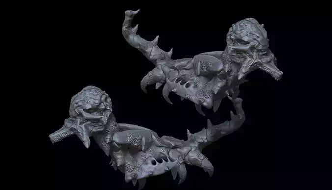 Sea creature sceleton