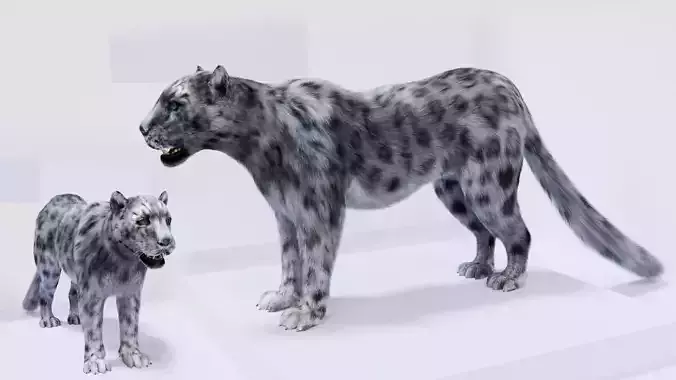 Realistic Fur Leopard 3D Model NO RIG Low-poly 3D model
