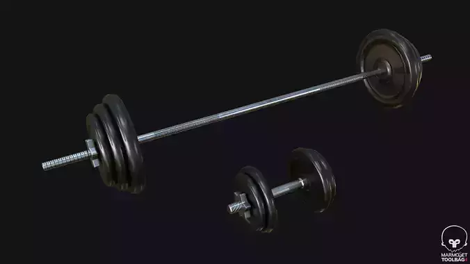 Gym Dumbbell Set PBR