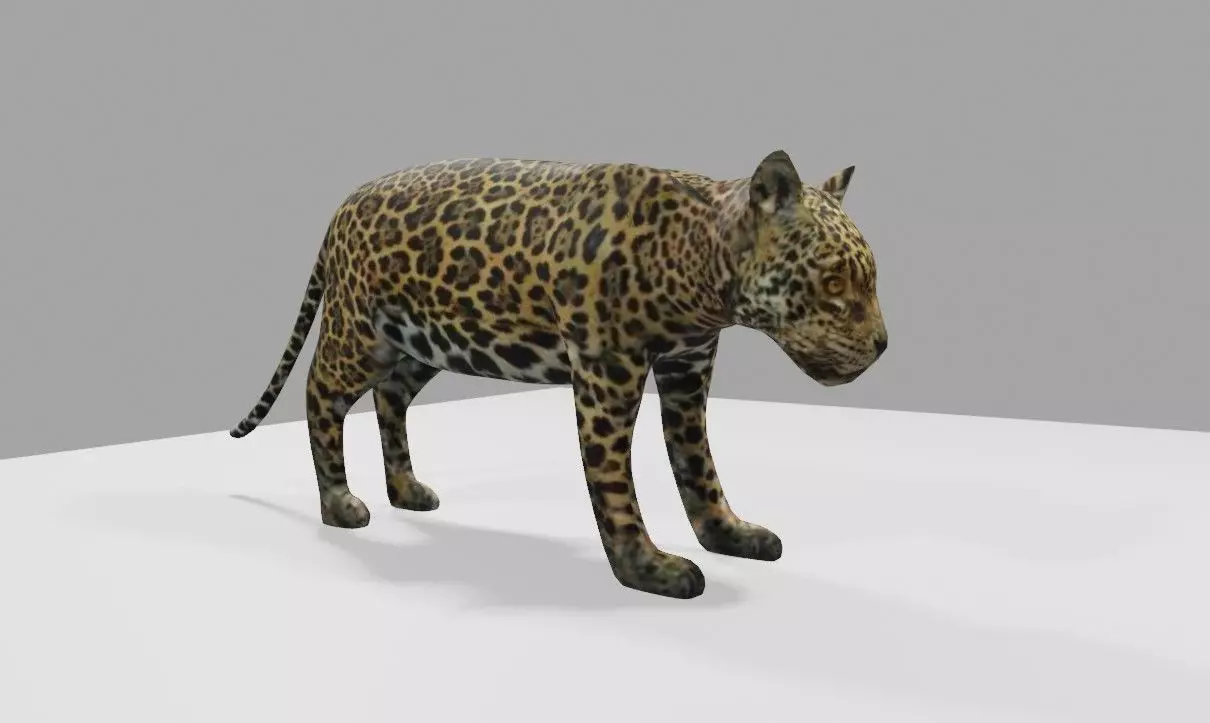 Jaguar - Ounce - Onca Pintada Low-poly 3D model