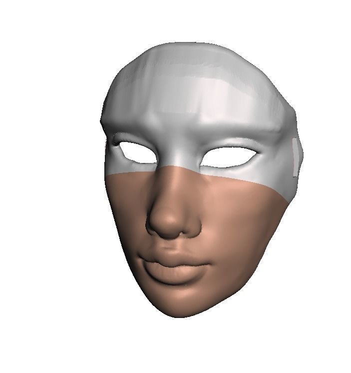 Basic Mask 3D print model_1