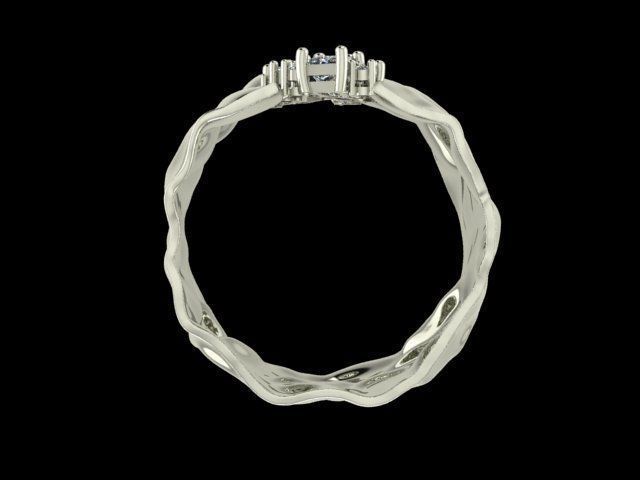 Water ring 3D print model_3