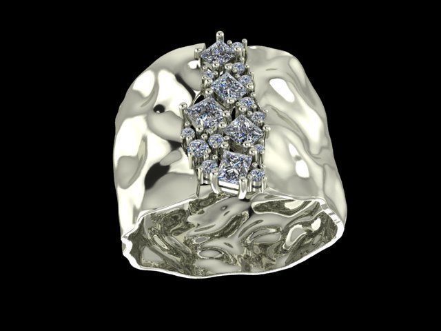 Water ring 3D print model_2