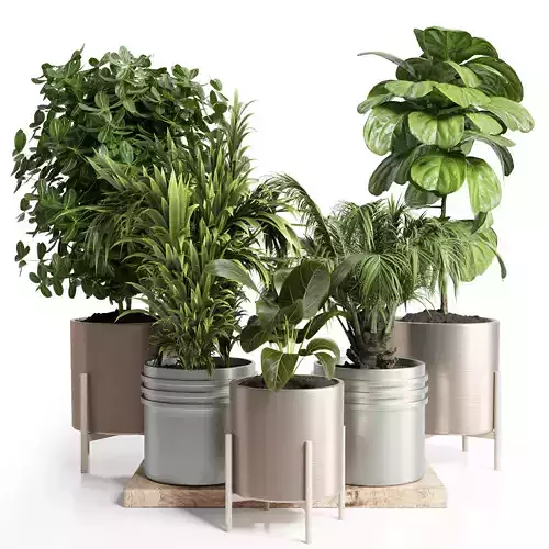 Indoor plnt 26- metal vase