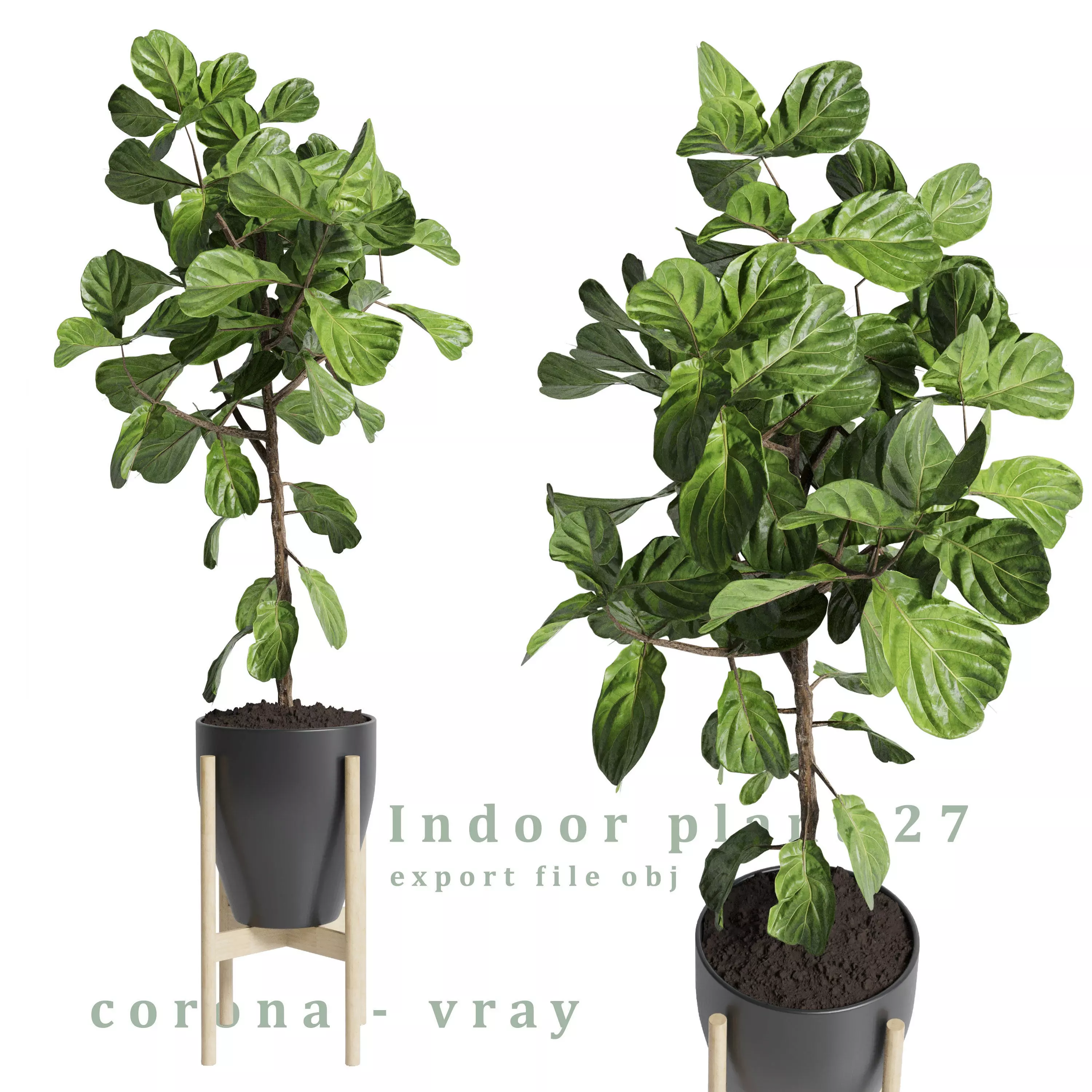 Indoor plant 27 Low-poly 3D model