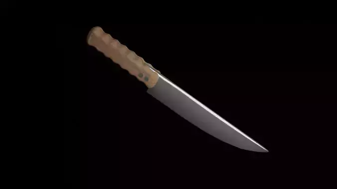 Kitchen Knife
