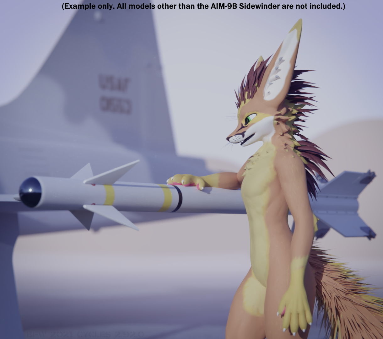 AIM-9B Sidewinder USAF and USN 3D model_12