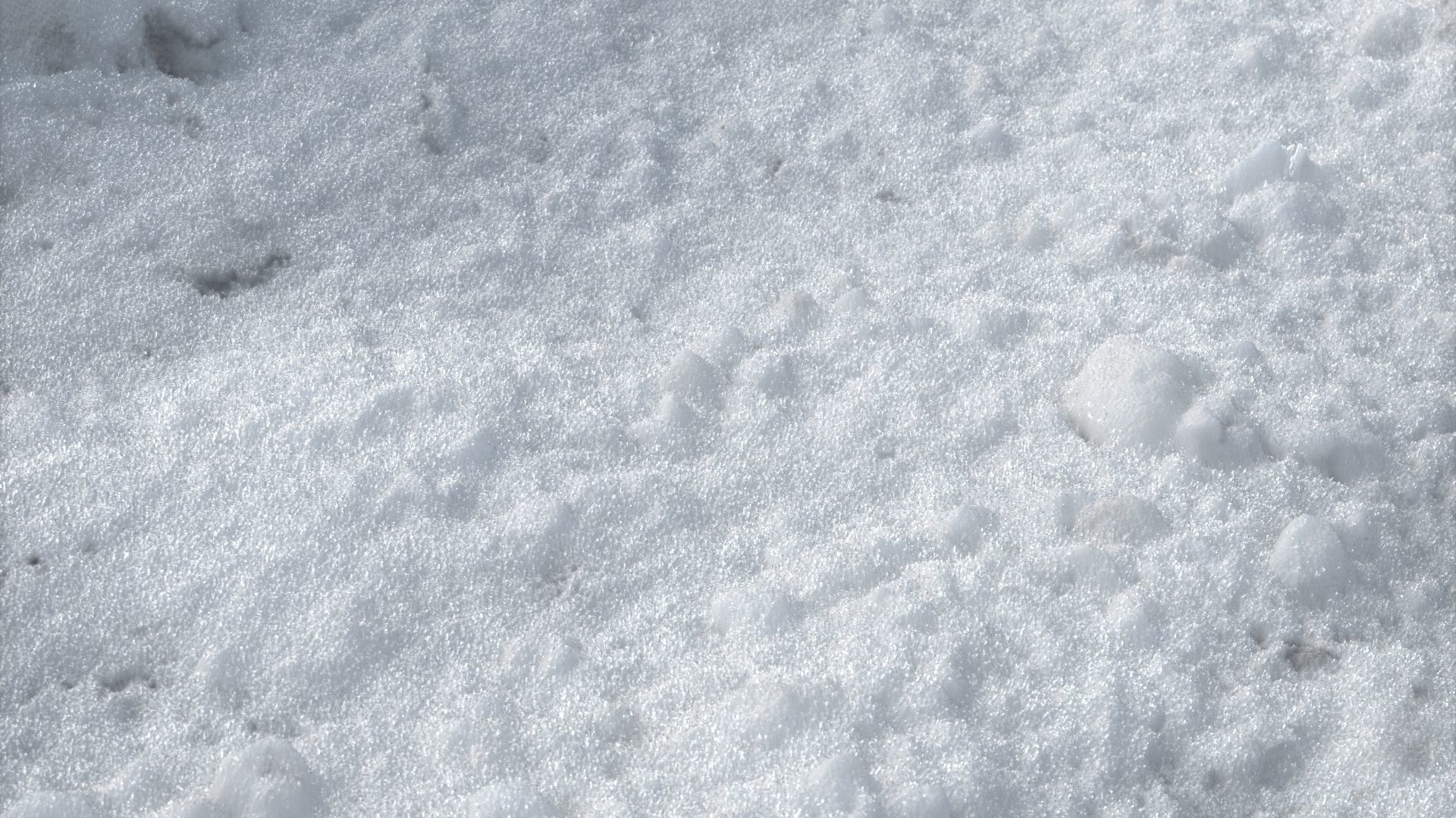 Snow scan 5A Low-poly 3D model_10