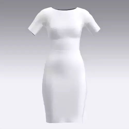 DRESS  PANT SKIRT BLOUSE