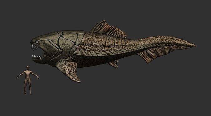 Dunkleosteus fish 3D print model