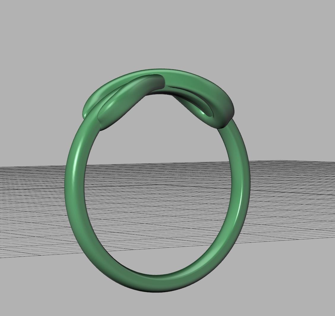 Infinity Knot Ring T-style 3dmodel 3D print model_23