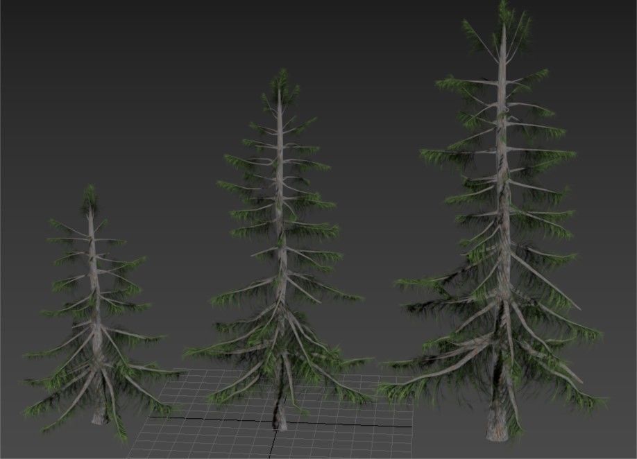 Alaska Cedar tree collection 9 trees in the scene Low-poly 3D model_5