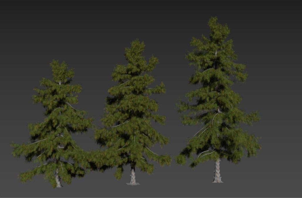 Alaska Cedar tree collection 9 trees in the scene Low-poly 3D model_1