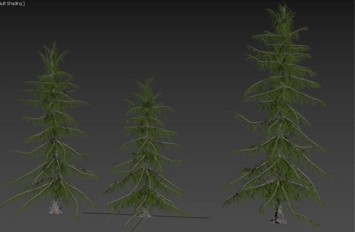Alaska Cedar tree collection 9 trees in the scene Low-poly 3D model_10
