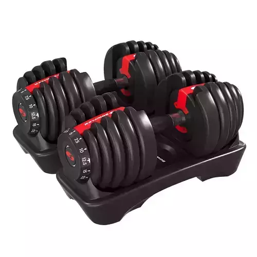 Bowflex Dumbbells Low-poly 3D model