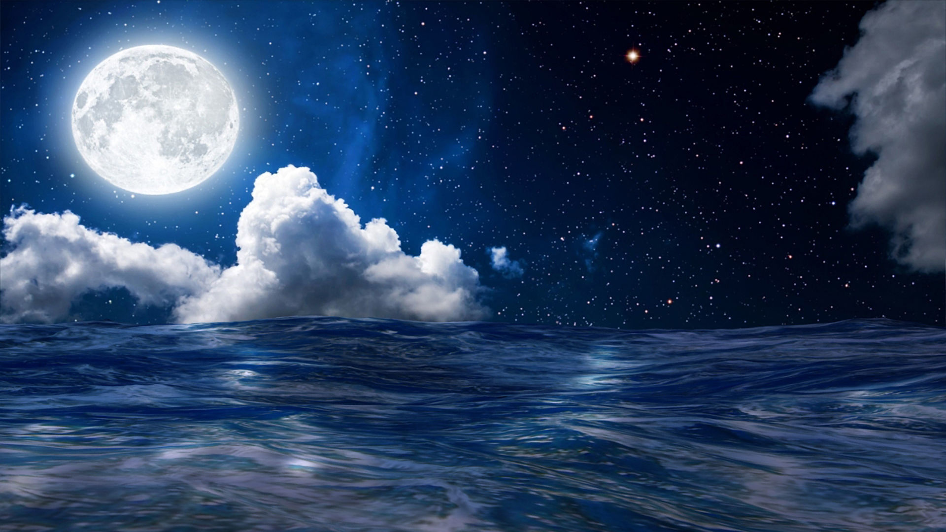 Sea Animated Low-poly 3D model_5