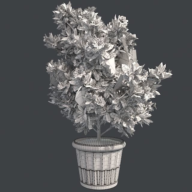 Azalea Flower Pink in Pot Low-poly 3D model_5