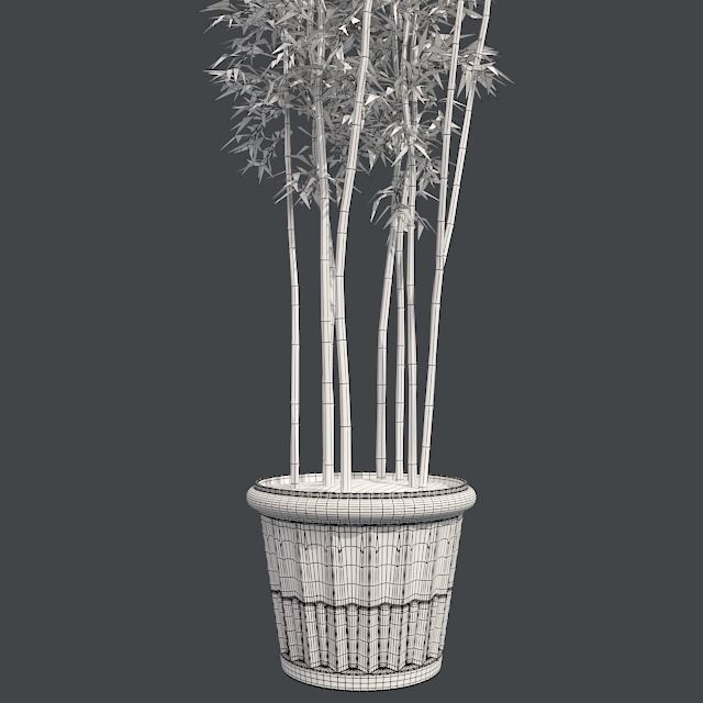 Bamboo Cluster in Pot Low-poly 3D model_3