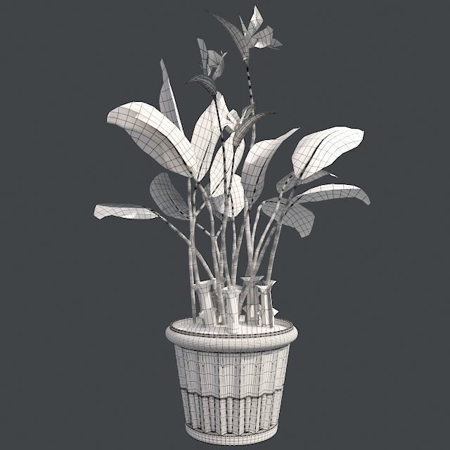 Bird of Paradise in Pot Low-poly 3D model_5