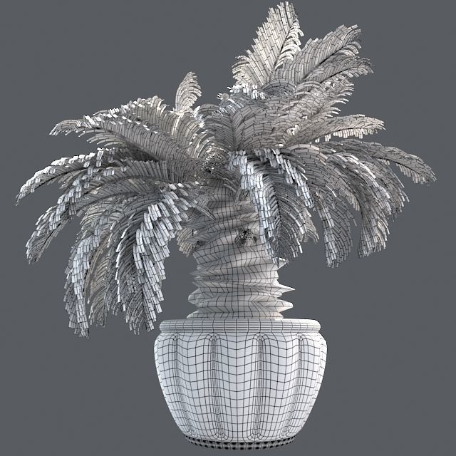 Sago Palm in Pot Low-poly 3D model_5