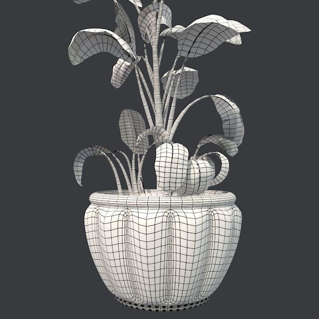 Tropical Snow plant in Pot Low-poly 3D model_5