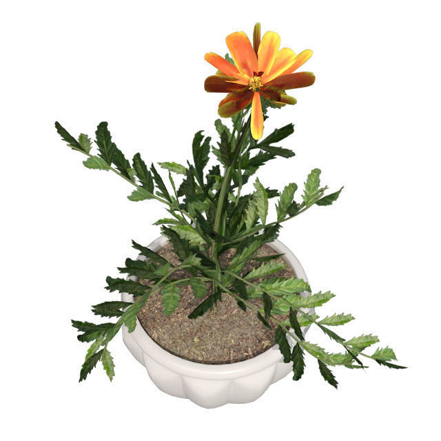 Marigold Flower in Pot Low-poly 3D model_3