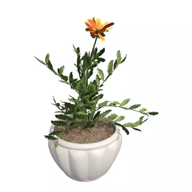 Marigold Flower in Pot Low-poly 3D model_0