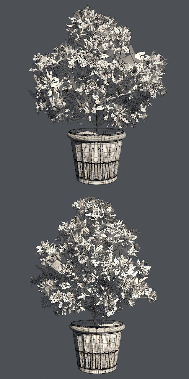 Azalea Flowers Pink and white in Pot - 2 Versions Low-poly 3D model_4