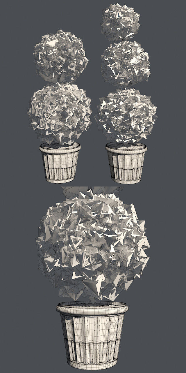 American Boxwood in Pot Low-poly 3D model_5