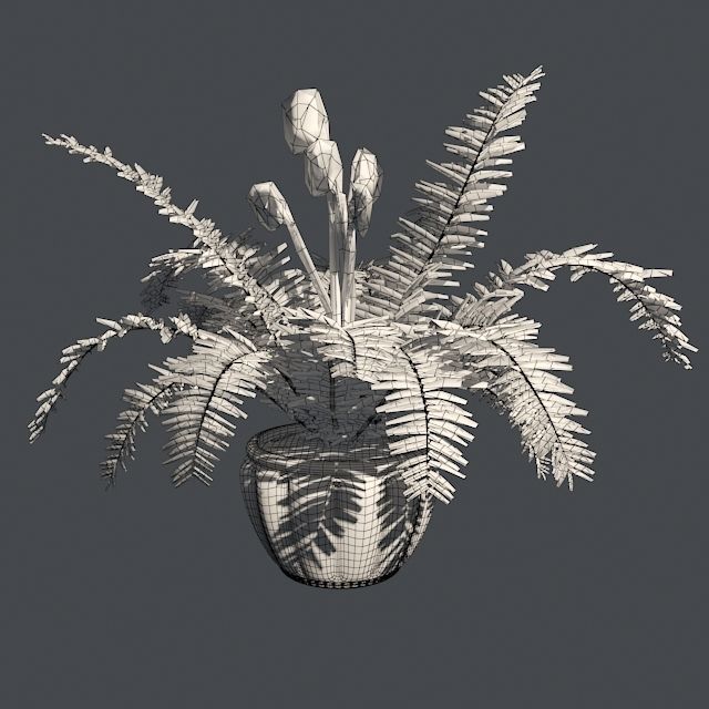 Boston Fern in Pot Double Low-poly 3D model_4