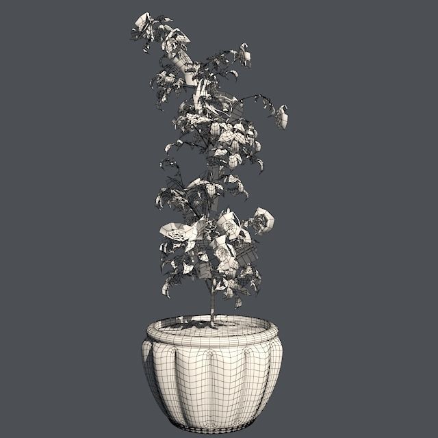 Dog Rose in Pot Low-poly 3D model_5
