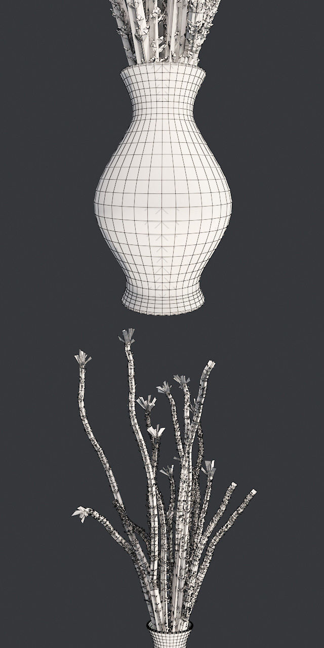 Ocotillo Spring in Vase Low-poly 3D model_5